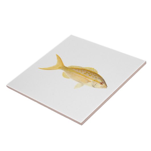 Carreau Poisson de récif corallien - Snapper à queue jaune (Côté)