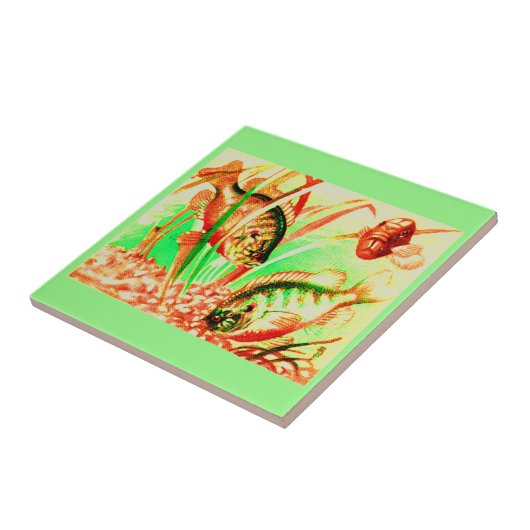 Carreau poisson d'eau douce (Côté)