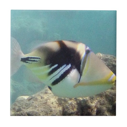 Carreau Poisson d'État d'Hawaï - Humuhumunukunukuapua'a (Devant)