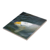 Carreau Poisson D'Or Dans Le Lac (Côté)
