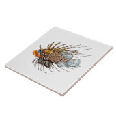 Carreau Poisson Lion (Côté)