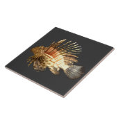 Carreau Poisson-lune dans le noir (Côté)