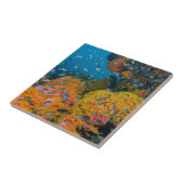 Carreau Poisson parmi le récif corallien (Côté)