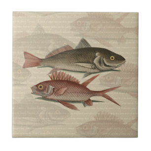 Carreau Poisson Perche rouge Art pêcheur