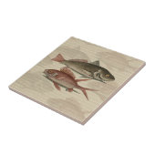 Carreau Poisson Perche rouge Art pêcheur (Côté)