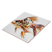 Carreau Poisson rouge de comète de rose des vents de (Côté)