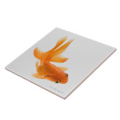 Carreau Poisson rouge de rose des vents (auratus de (Côté)