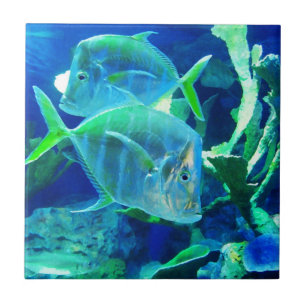 Carreau Poisson tropical en bleu