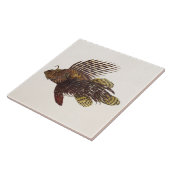 Carreau Poissons 1905 de lion de rascasse de Lionfish de (Côté)