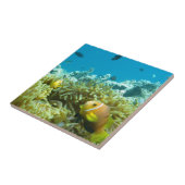 Carreau Poissons d'aquarium (Côté)
