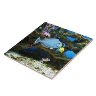 Carreau Poissons de bleu de mer