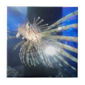 Carreau Poissons de lion (Devant)