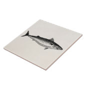 Carreau Poissons de maquereau commun de cru - modèle (Côté)