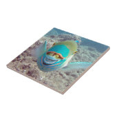 Carreau Poissons de perroquet d'Hawaï (Côté)
