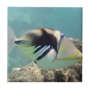 Carreau Poissons d'état d'Hawaï - Humuhumunukunukuapua'a