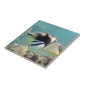 Carreau Poissons d'état d'Hawaï - Humuhumunukunukuapua'a (Côté)