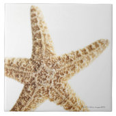 Carreau Poissons d'étoile (Devant)