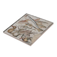 Poissons et canards - Mosaïque romaine