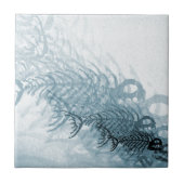 Carreau Poissons Et Os (Devant)