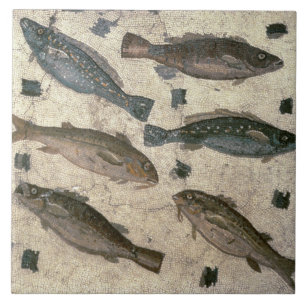 Carreau Poissons (mosaïque)