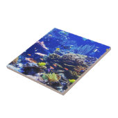 Carreau Poissons tropicaux (Côté)