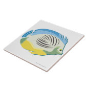 Carreau Poissons tropicaux 2 (Côté)