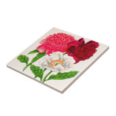 Carreau poitrine rouge et blanche (Côté)