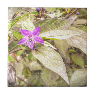 Carreau Poivrons ornementaux