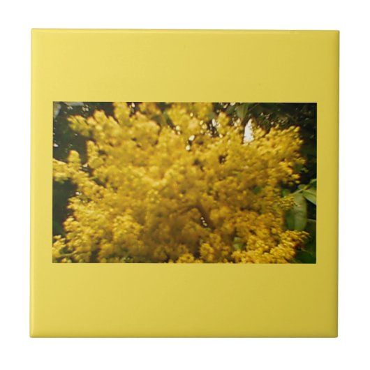 Carreau Pollen en floraison (Devant)