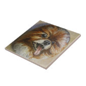 Carreau Pomeranian (Côté)