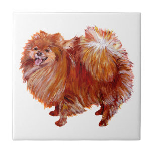 Carreau Pomeranian rouge