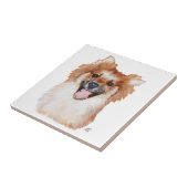 Carreau Poméranien (Côté)