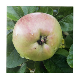 CARREAU POMME