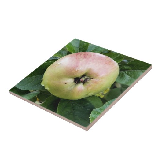 CARREAU POMME (Côté)