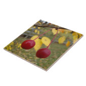 Carreau Pommes de crabe rouge brillant Tile photo (Côté)