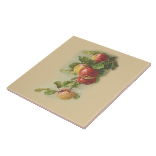 Carreau Pommes vintages (Côté)