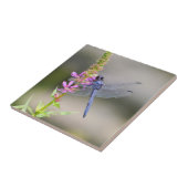 Carreau Pondhawk oriental (Côté)