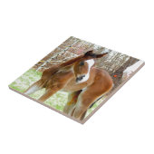 Carreau PONEY de BÉBÉ de POULAIN du CHEVAL 2CUTE (Côté)