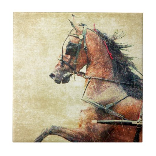 Carreau Poney de Hackney (Devant)