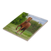 Carreau Poney islandais aux amants drôles d'un cheval de (Côté)