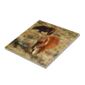 Carreau poneys miniatures à cheval (Côté)