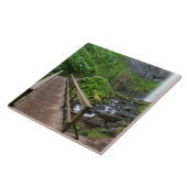 Carreau Pont à Latourell Falls, Columbia River Gorge, (Côté)