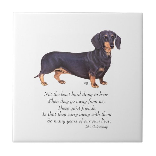 Carreau Pont arc-en-ciel des Dachshund (Devant)