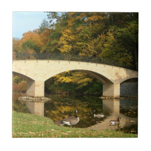 Carreau Pont arc-en-ciel en automne au Grove City College