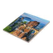 Carreau Pont Bastei, Saxe, Suisse (Côté)