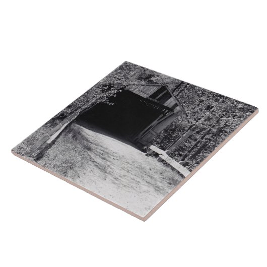 Carreau Pont couvert (Côté)