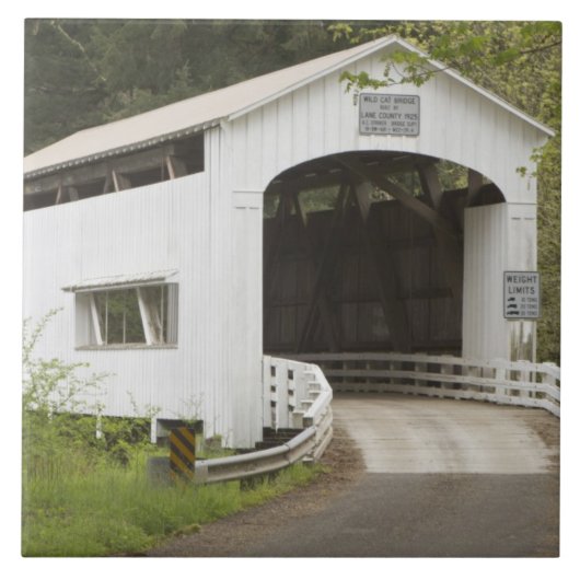 Carreau Pont couvert de Wild Cat, comté de Lane, Oregon (Devant)
