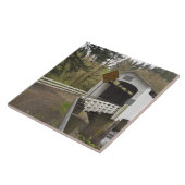 Carreau Pont couvert de Wild Cat, comté de Lane, Oregon (Côté)