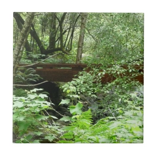 Carreau Pont de Muir Woods I (Devant)