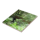 Carreau Pont de Muir Woods I (Côté)